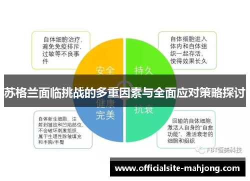 苏格兰面临挑战的多重因素与全面应对策略探讨