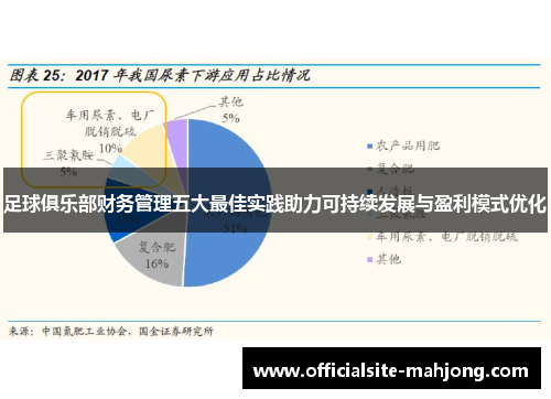 足球俱乐部财务管理五大最佳实践助力可持续发展与盈利模式优化