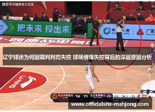 辽宁球迷为何因裁判判罚失控 球场情绪失控背后的深层原因分析