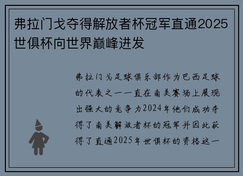 弗拉门戈夺得解放者杯冠军直通2025世俱杯向世界巅峰进发